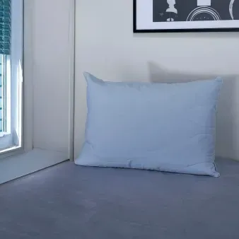 ALMOHADA VISCOELASTICA POLAR 50X70 AZUL_7702997086083